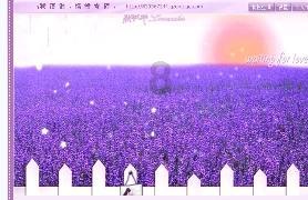 爱心捐赠温暖禄钢社区老人心
